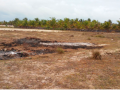 O local onde foi queimado também fica perto de vazante de nativos, onde se faz o cultivo de plantações.